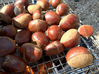 七輪で焼栗バーベキュー