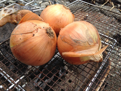 七輪BBQで焼き上げる丸ごとの玉ネギは甘くなる