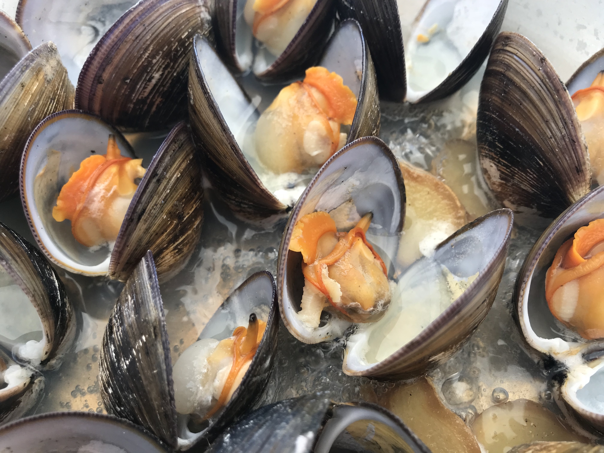 しょうが風味の沖シジミBBQ蒸し焼き