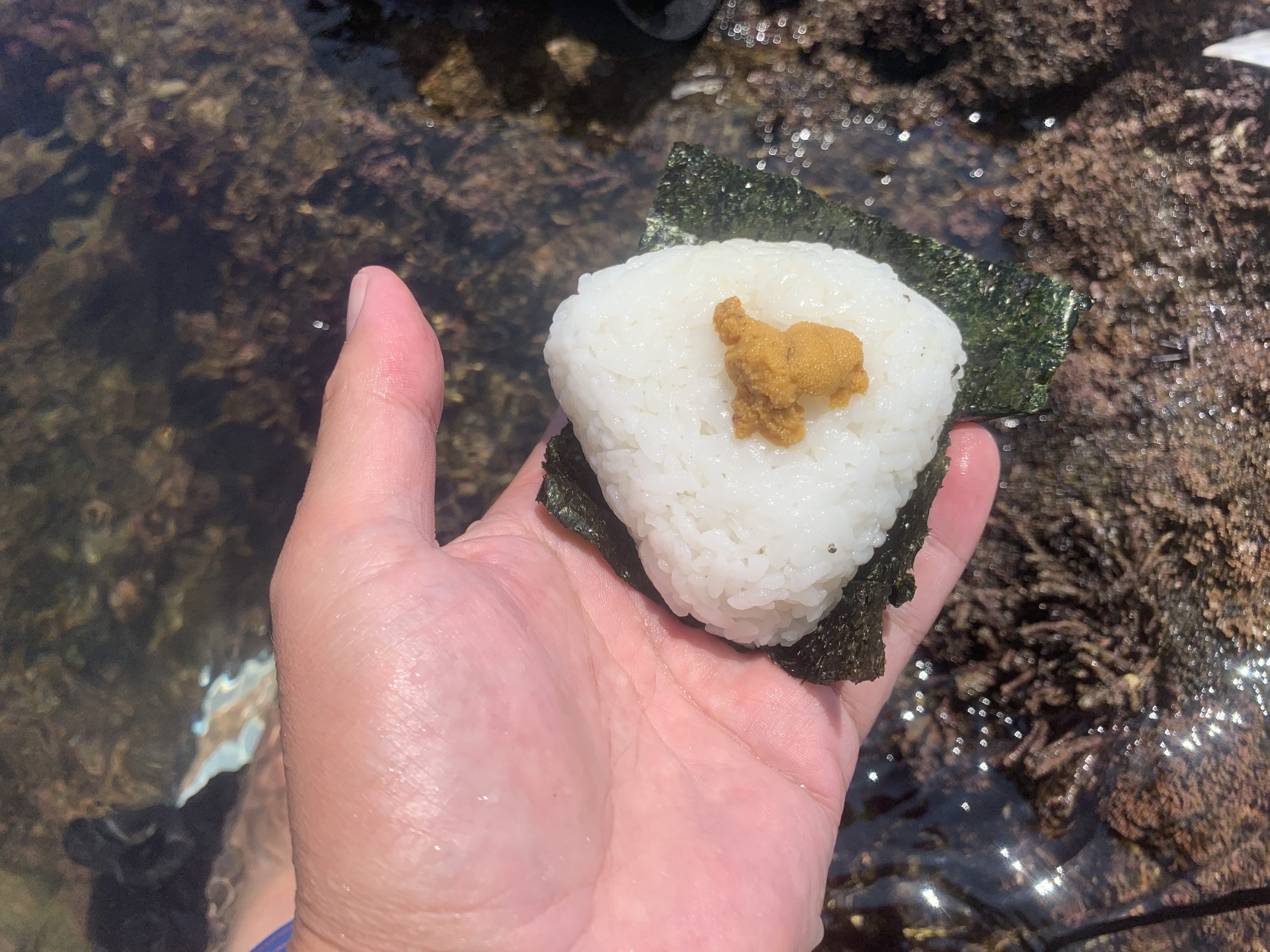 ウニの海苔塩おにぎり